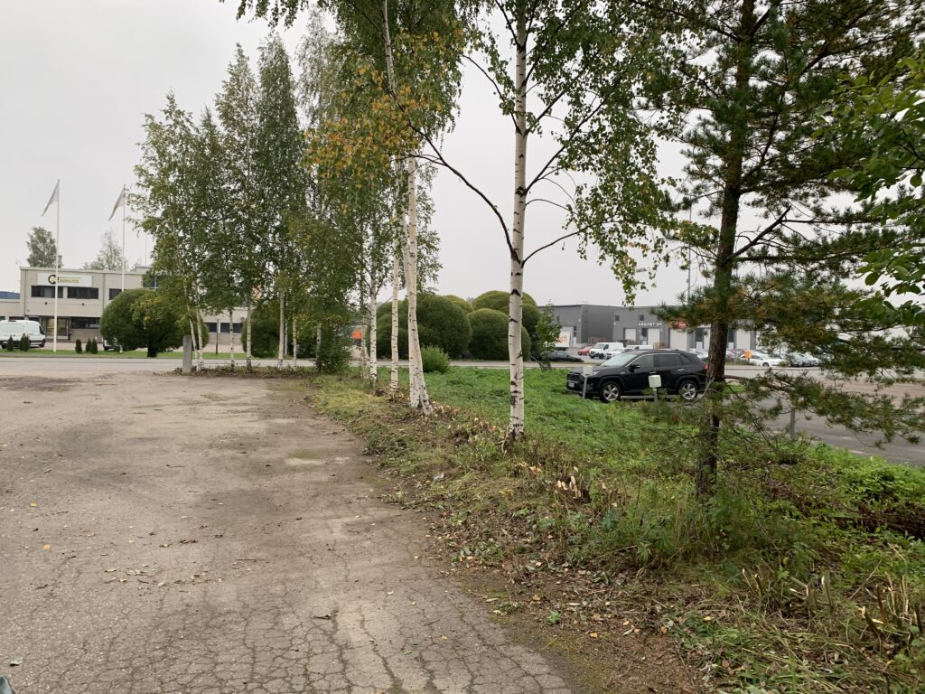 Findur_raivauttu_pajukko