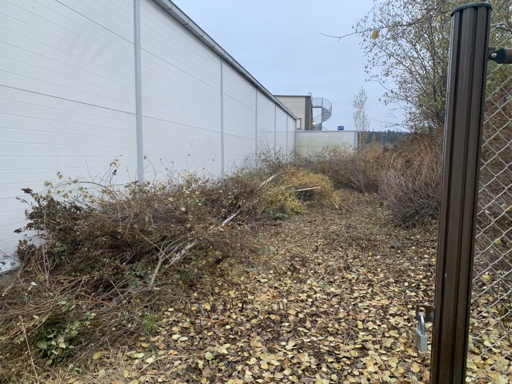 Pajukon raivaus Katsalla