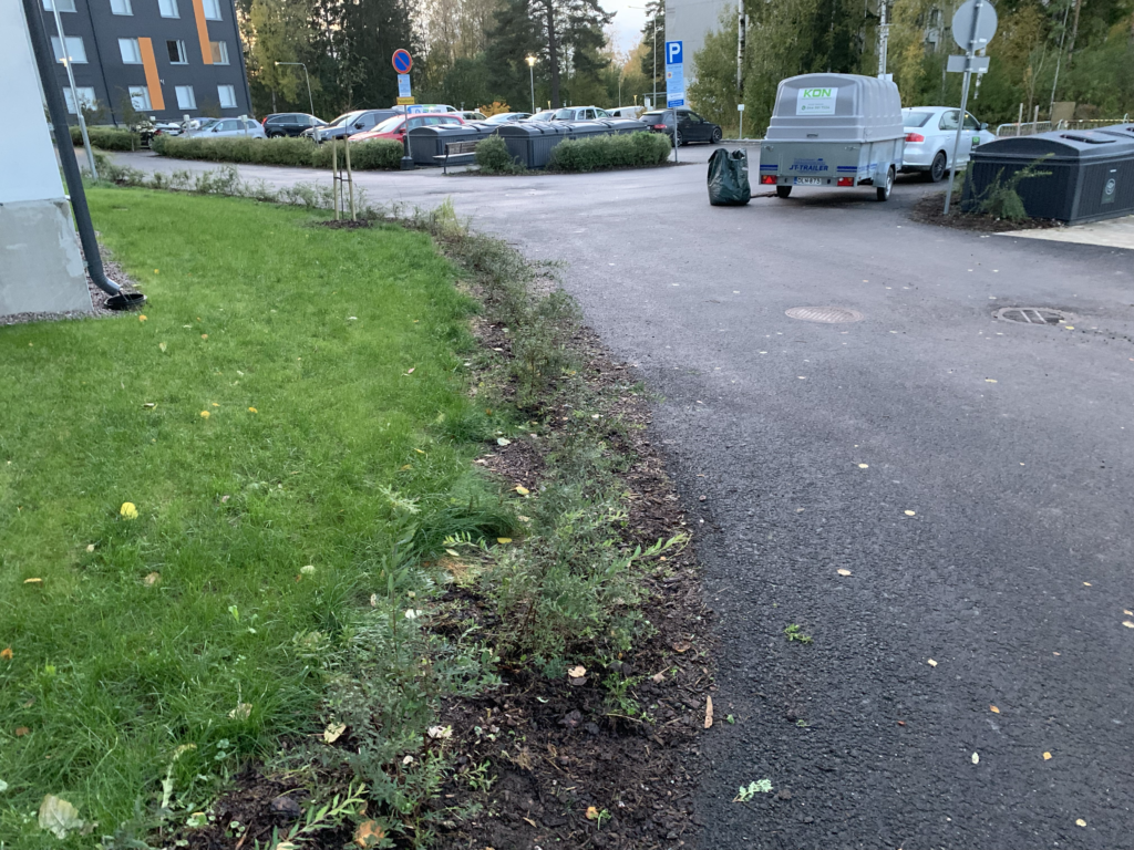 Taloyhtiön rikkaruohojen kitkentä